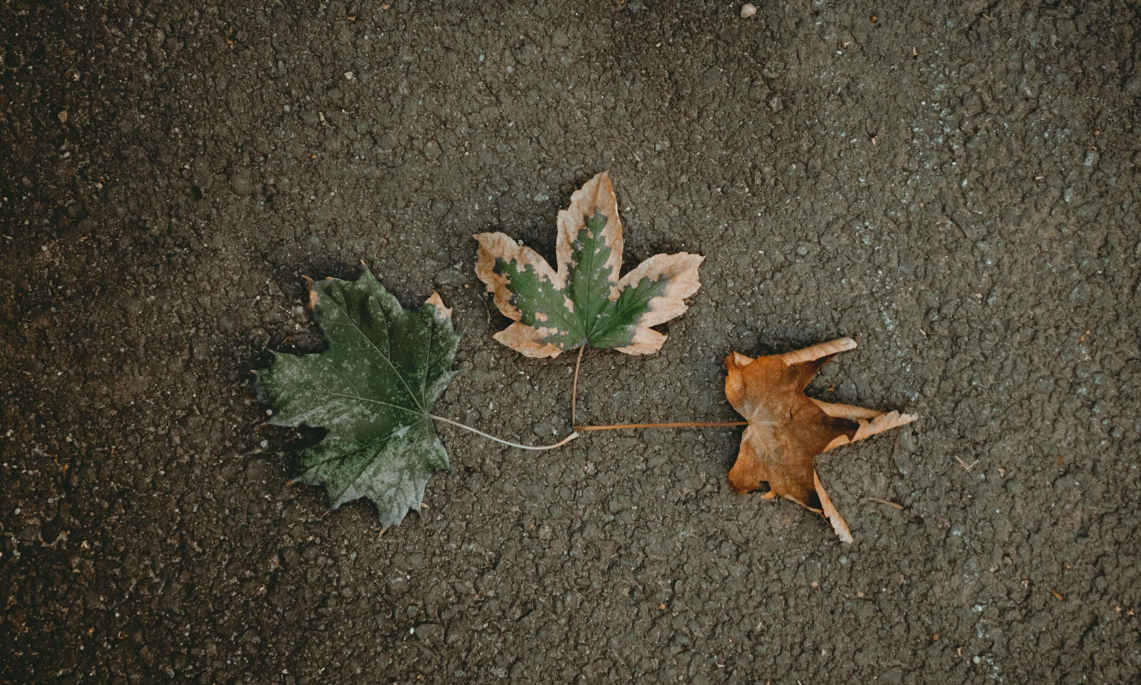 Your Guide to Seasonal Skincare Adjustments