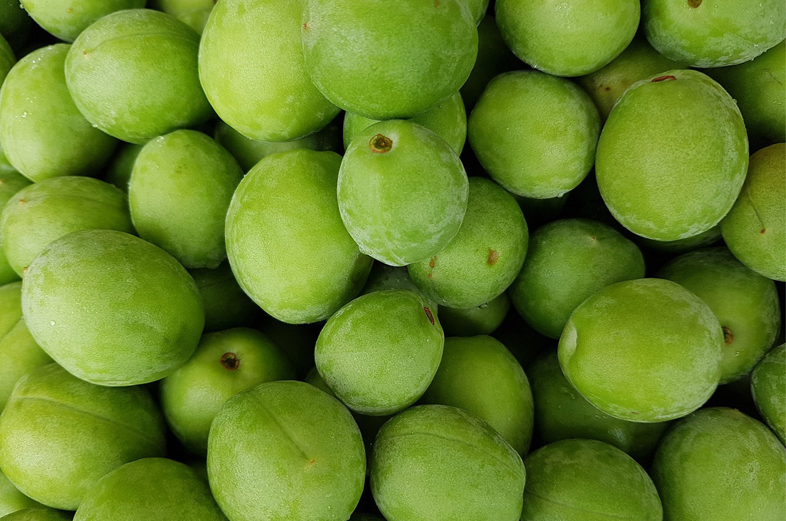 Why Naturally Sourced Vitamin C is an Underrated Hero!