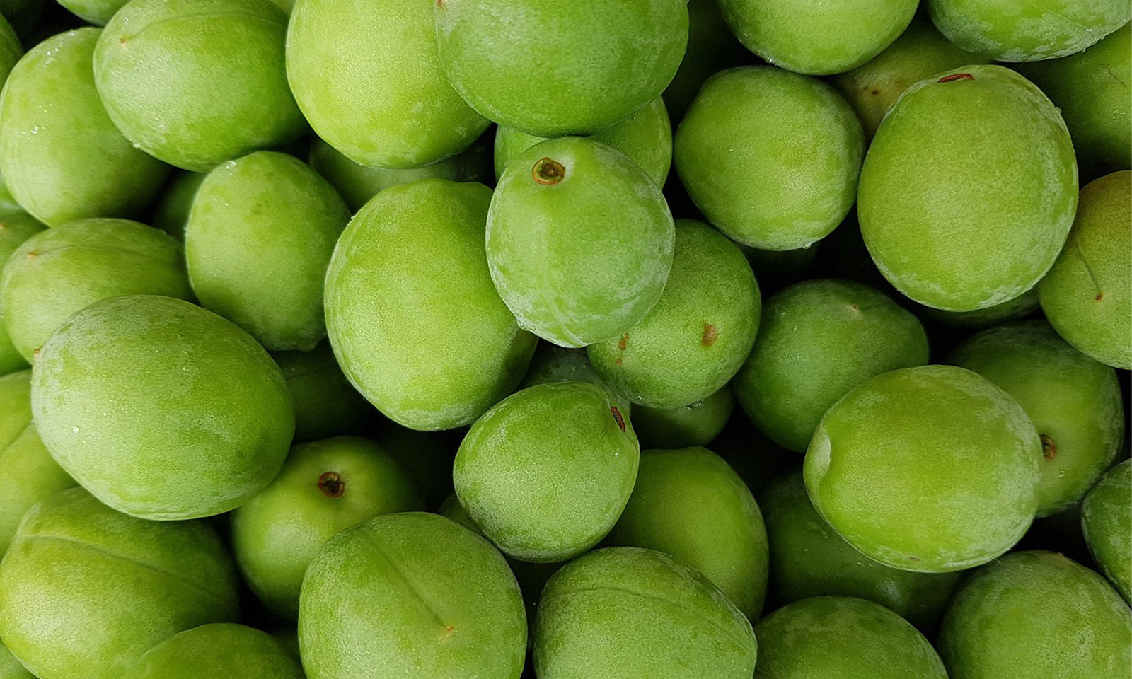 Why Naturally Sourced Vitamin C is an Underrated Hero!