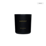 Harvest | Essential Oil Candle | Medium 300g